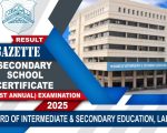 Lahore Board Matric 10th Class Bise Lahore Gazette 2025 Download