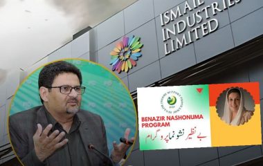 Miftah Ismail Under Scrutiny Over Rs21 Benazir Nashwo O Numa Nutrition Programme