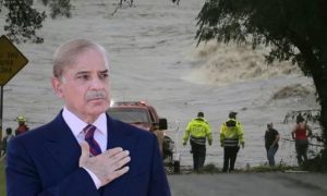 Pak Pm Stands In Solidarity With Americans Amid Deadly Texas Floods