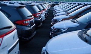 Punjab Vehicle Registrations Halted As Excise Upgrades System
