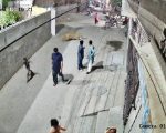 Two Children In Critical Condition As 3 Mauled By Pet Lion Near Lahores Johar Town
