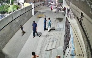 Two Children In Critical Condition As 3 Mauled By Pet Lion Near Lahores Johar Town