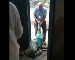 Watch Elderly Woman Seeking Correction In Electricity Bill Dragged Out Of Lesco Office