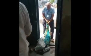 Watch Elderly Woman Seeking Correction In Electricity Bill Dragged Out Of Lesco Office