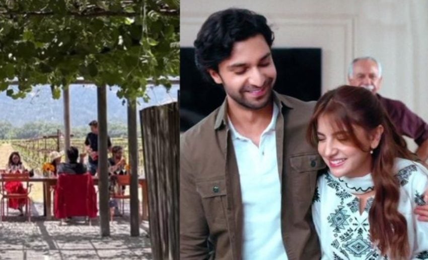 Whats Cooking Between Ahad Raza Mir And Dananeer Mobeen In California