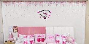 A Pakistani Schoolgirl Builds Her Own Hello Kitty Land With Temu