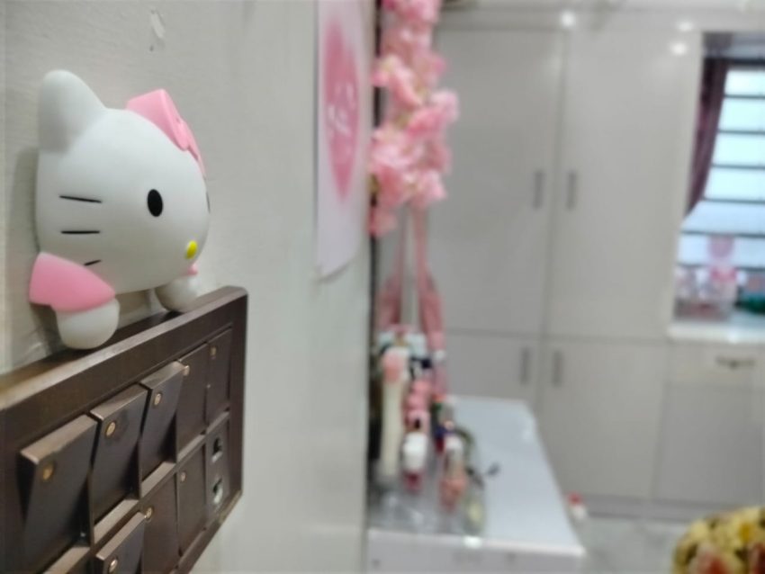 A Pakistani Schoolgirl Builds Her Own Hello Kitty Land With Temu 