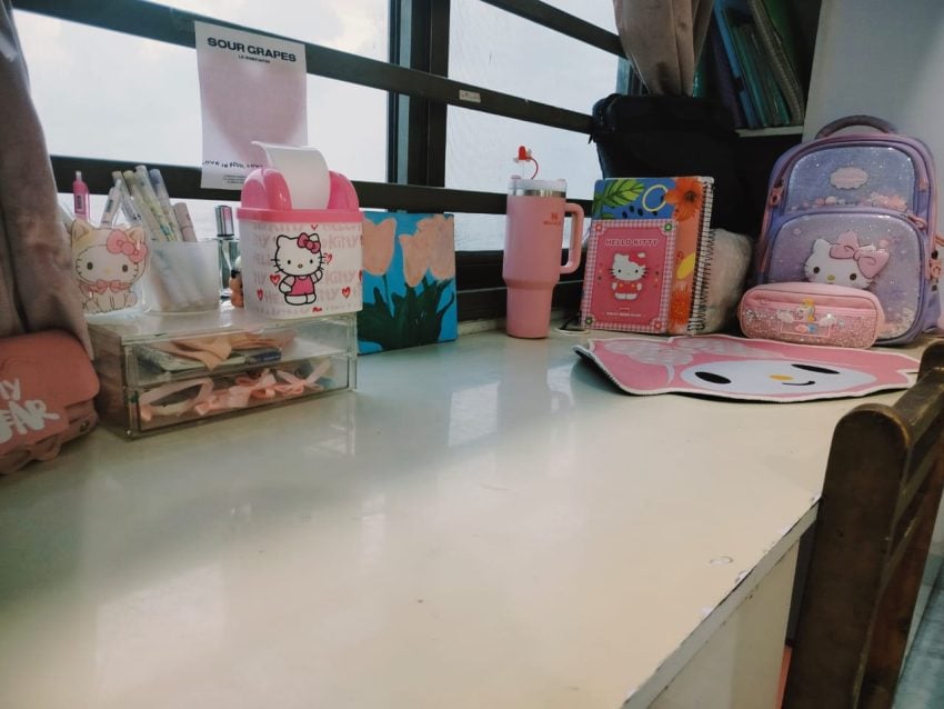 A Pakistani Schoolgirl Builds Her Own Hello Kitty Land With Temu 