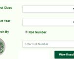 Bise Faisalabad 9th Class Result 2025 Check Result Here