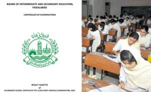 Bise Faisalabad 9th Class Result Gazette 2025 Download Pdf