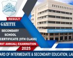 Bise Lahore 9th Class Result Gazette 2025 Download Pdf