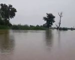 Flood Alert Issued As Sutlej River Swells After Indias Water Release
