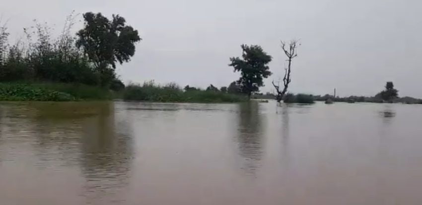 Flood Alert Issued As Sutlej River Swells After Indias Water Release 
