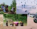 Mother Sacrifices Life To Save Son From Raging Waters Amid Punjab Floods