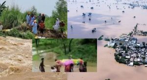 Mother Sacrifices Life To Save Son From Raging Waters Amid Punjab Floods