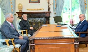 Retired Lt Gen Muhammad Saeed Appointed New Wapda Chairman