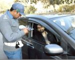Traffic Police Start Crackdown Against Token Tax Defaulters In New Campaign