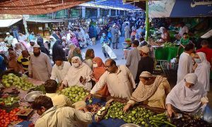 A Self Sustaining Revolution Punjabs Model Bazaars Under Naveed Rafaqat Ahmad