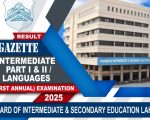 Bise Lahore Inter Part Ii Class 12 Gazette 2025 Download Pdf