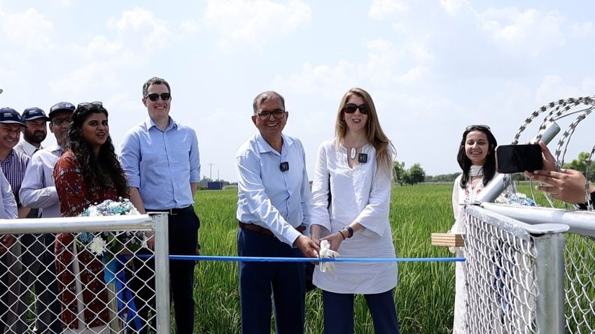 British High Commissioner Visits Okara To See Uk Pakistan Partnership Driving Climate Smart Farming
