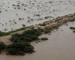 High Flood Threat In Sutlej Punjab Puts 9 Districts On High Alert