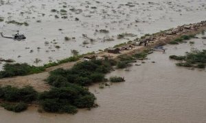 High Flood Threat In Sutlej Punjab Puts 9 Districts On High Alert