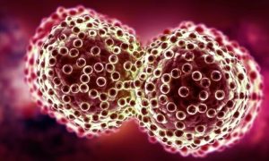 Pakistan To Establish National Cancer Registry As President Zardari Approves Bill