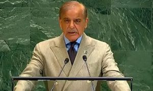 Pm Shehbaz Hits Back At Indian Media Says Pakistan Defeating Cross Border Terrorism