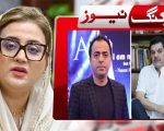 Punjab Information Minister To File Defamation Case Against Mubashir Luqman Naeem Hanif