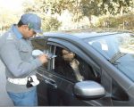 Punjab Traffic Violators To Face Fines Up To Rs20000 License Suspension