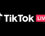 Tiktok Live Ban Proposed By Punjab Assembly Over Vulgar Content