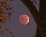 When And Where To Watch Blood Moon In Pakistan