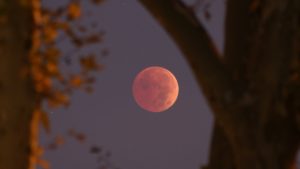 When And Where To Watch Blood Moon In Pakistan