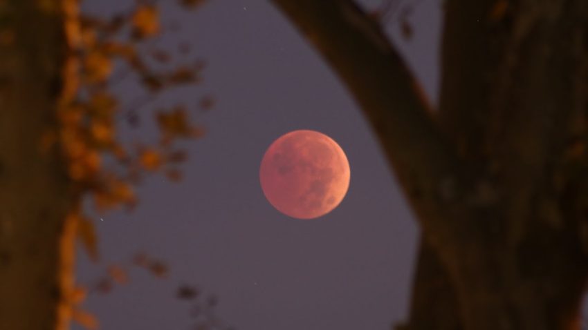 When And Where To Watch Blood Moon In Pakistan