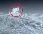 Afghan Taliban Militants Flee After Pakistan Armys Strong Retaliation In Kurram
