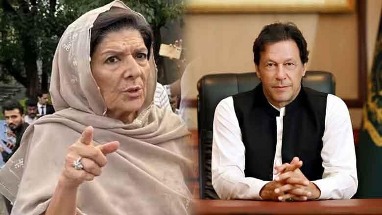 Anti Terrorism Court Orders Arrest Of Aleema Khan In November Protest Case