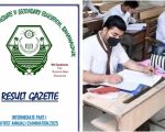 Bise Bahawalpur Class 11 Inter Part 1 Gazette 2025 Download Pdf