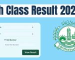 Bise Dg Khan Intermediate Part 1 Class 11 Results 2025