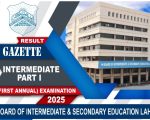 Bise Lahore Class 11 Inter Part 1 Gazette 2025 Download Pdf