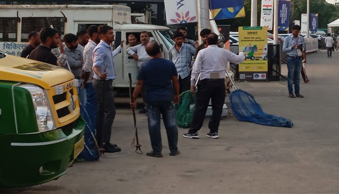 Coaches From Kenya And Japan Attacked By Stray Dogs During International Sports Event In Delhi