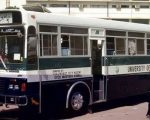 Karachi Universitys Female Student Killed By Campus Bus