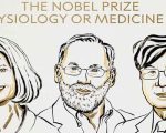 Nobel Prize In Medicine 2025 Won By Immune System Researchers