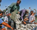 Pakistans Seafood Exports To China Surge To 153m In First Nine Months Of 2025