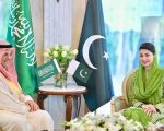 Saudi Investors Get 10 Year Tax Free Benefits In Punjabs Special Industrial Hub