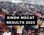 Sindh Mdcat Results 2025 Check Siba Results Online