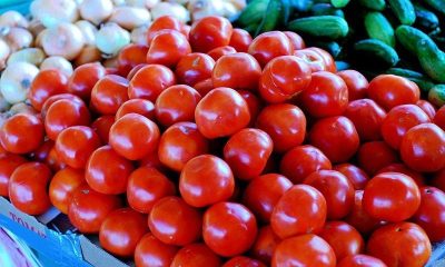 Tomatoes Surpass Chicken In Price As Rates Soar To Record High In Karachi