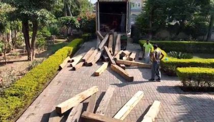 Pakistan Imposes Largest Ever Finer On Timber Smuggler
