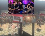 Pakistans First Ever Qawwali Performance Inside Fight Cage Goes Viral Online