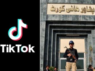 Phc Orders Pta To Remove Immoral Content From Tiktok