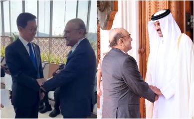 President Zardari Engages Qatar China Leaders To Expand Trade Defense And Strategic Ties